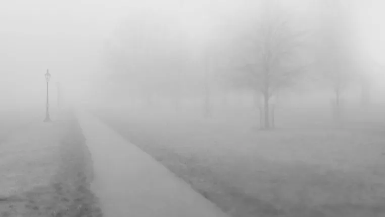 Фото: pxhere.com