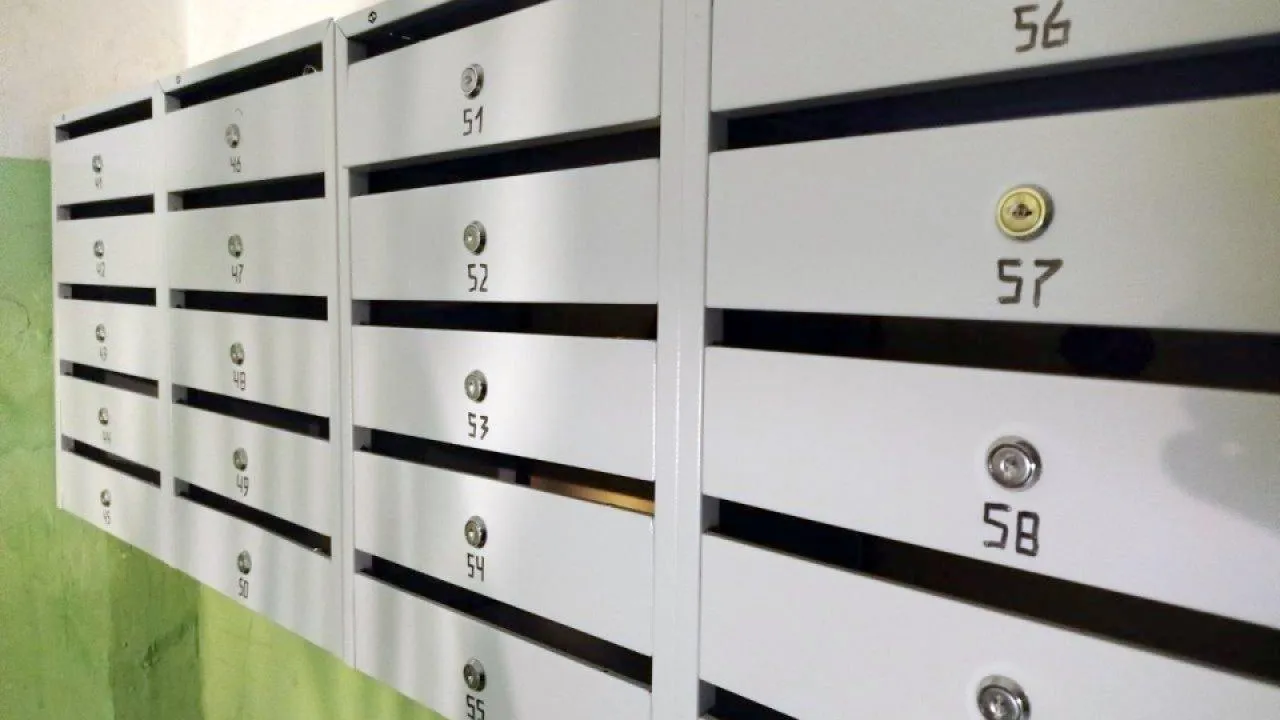 REGIONS/Наталья Дорофеева