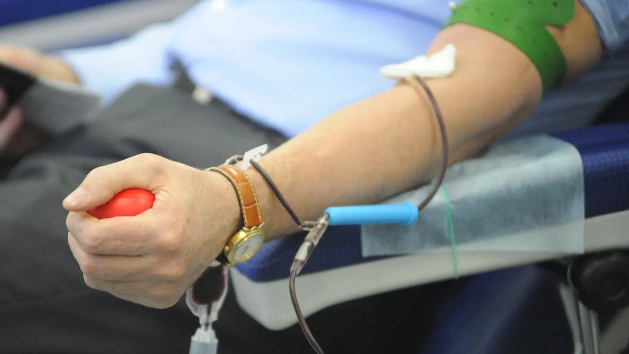 медиасток.рф