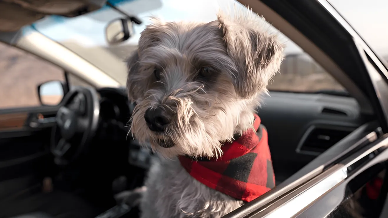 Фото: freepik.com