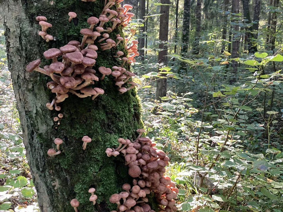 Фото: Владимир Чернов