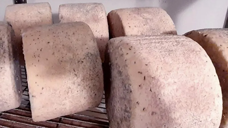 Минсельхоз МО