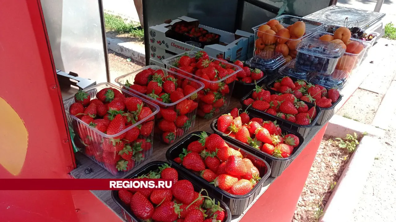 Фото: Елена Григорьева