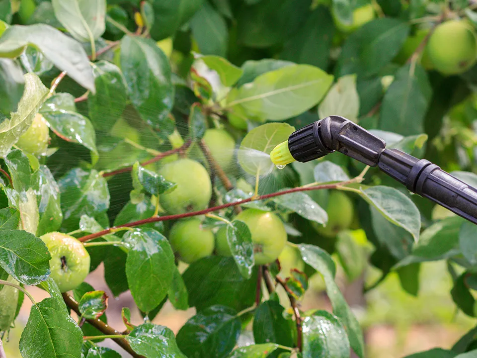 Фото: istockphoto.com