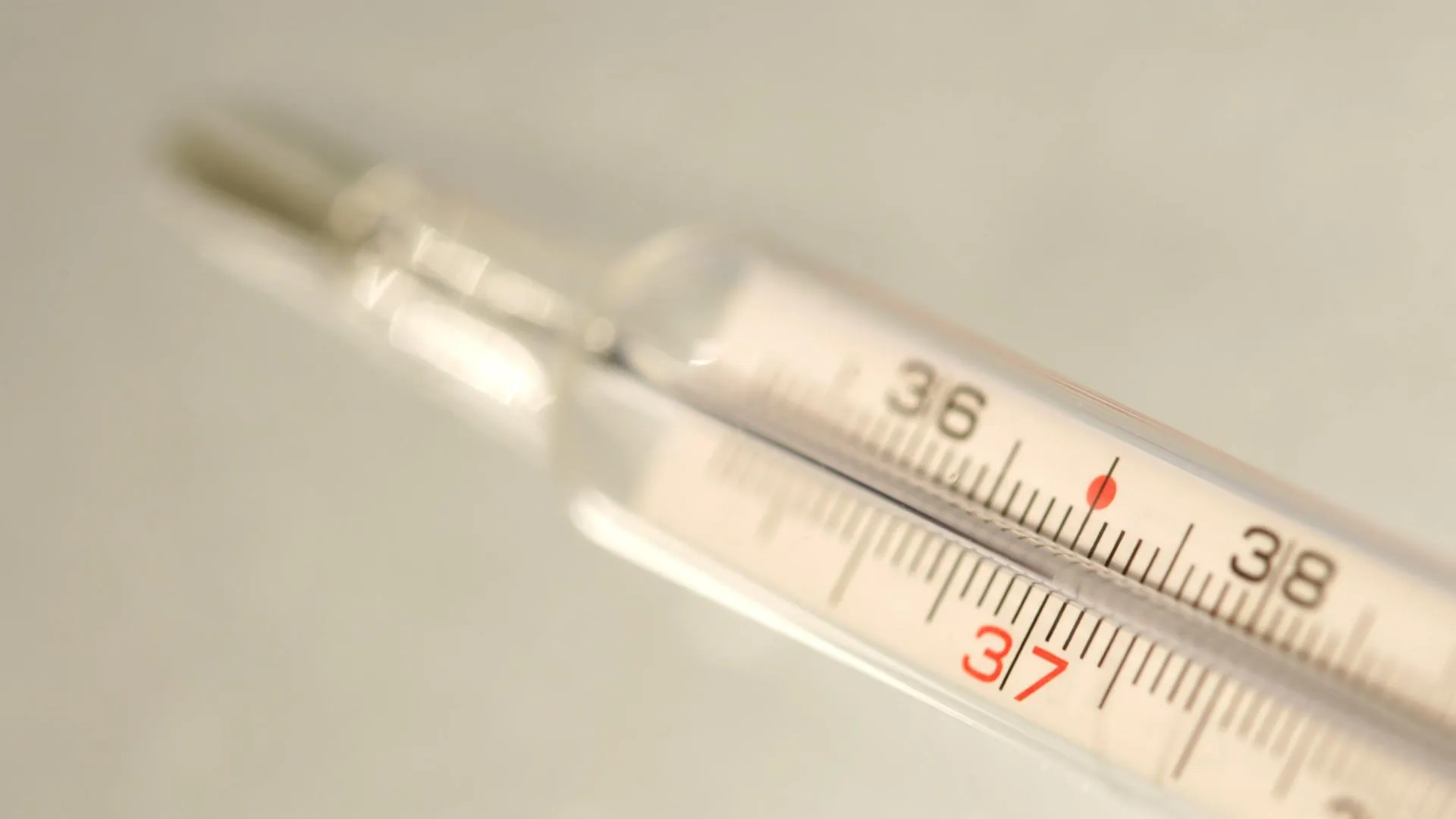 Jochen Tack/http://imagebroker.com/#/search