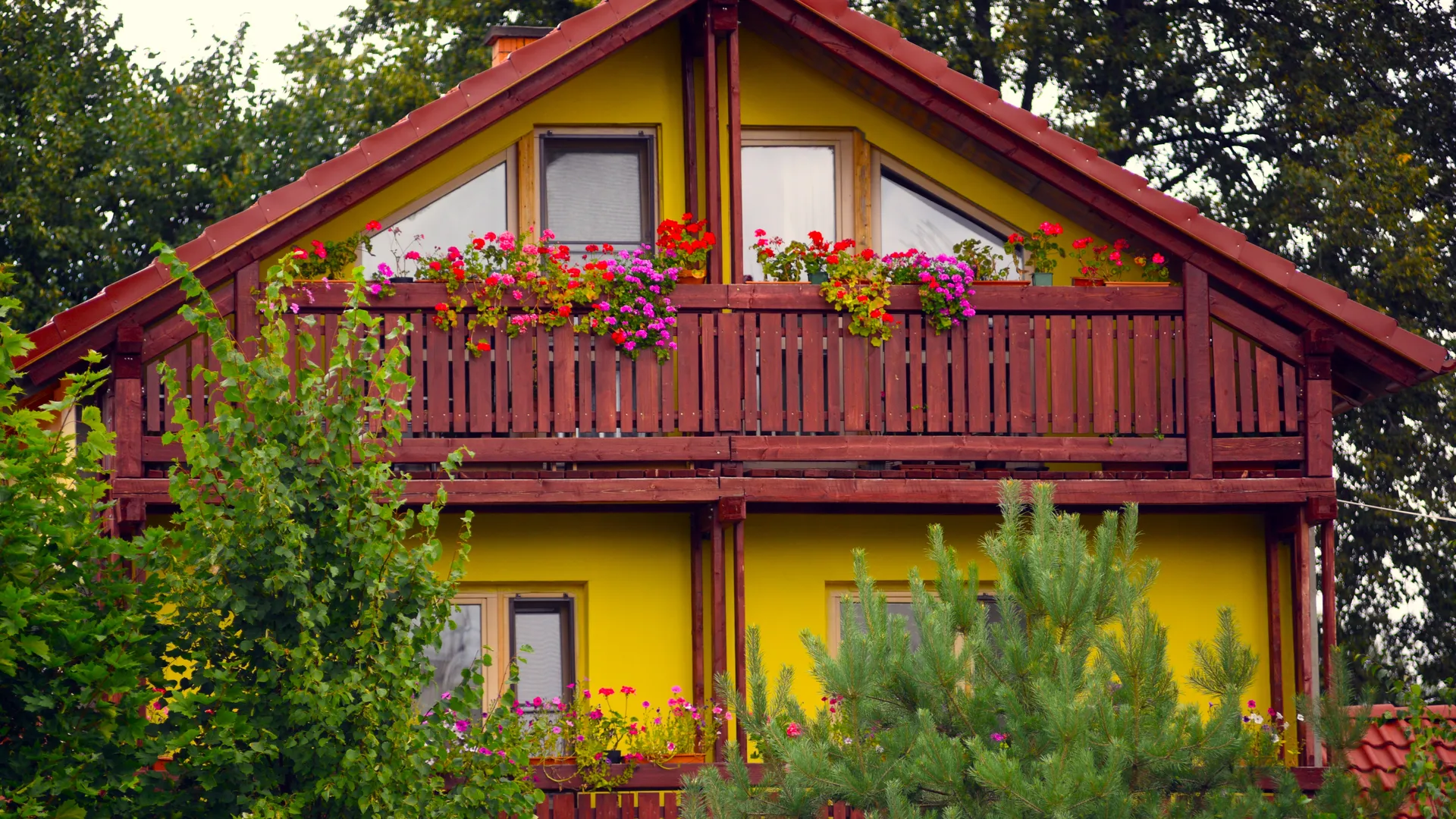 Фото: медиасток.рф