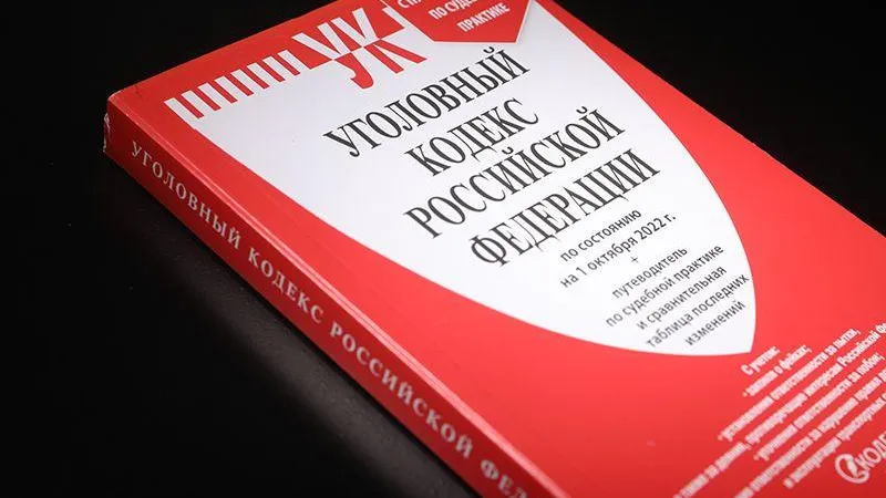 Депутат Госдумы считает, что Мамонтова нужно лишить неприкосновенности