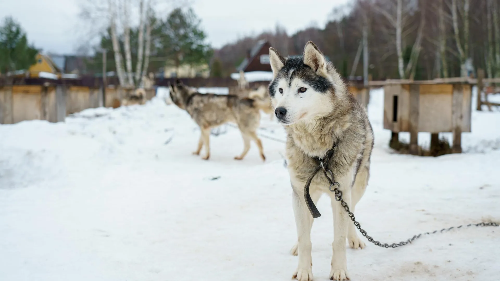 медиасток.рф