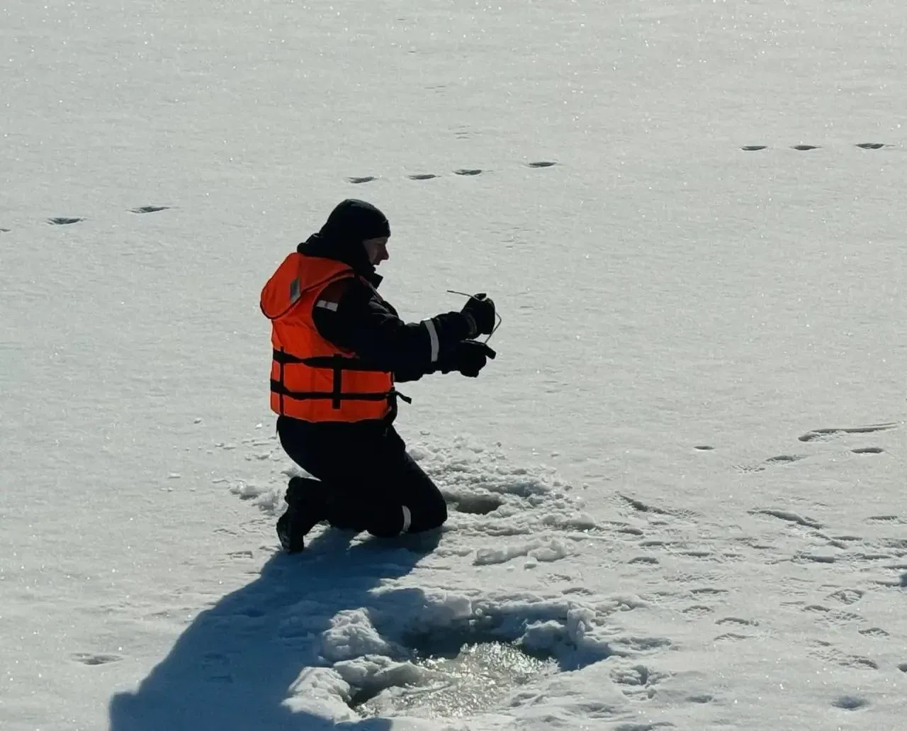 REGIONS/Татьяна Сташенко