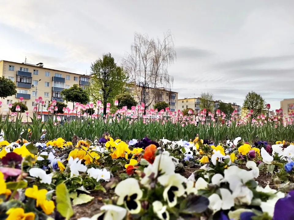 Фото: REGIONS/Алексей Селиверстов