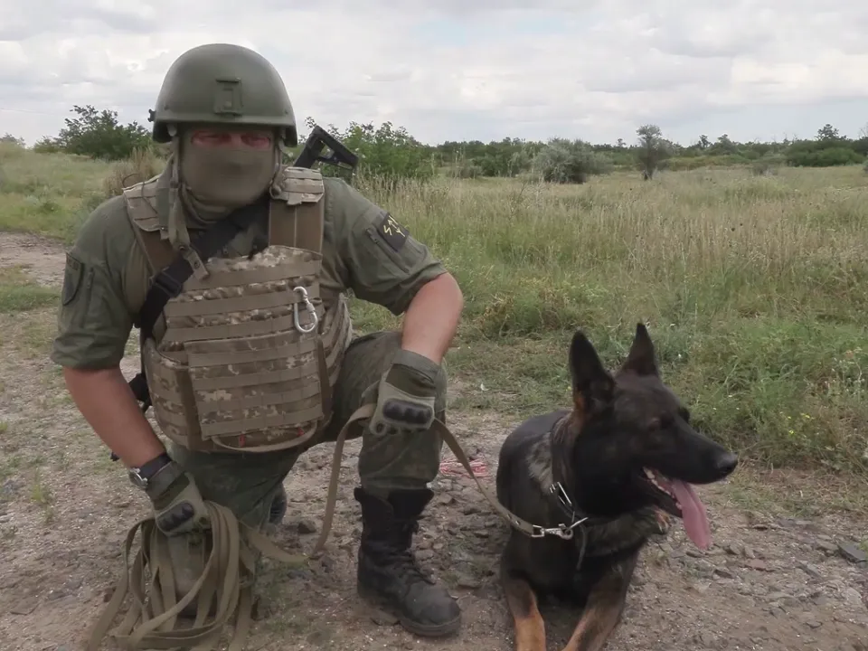 Игрушки, которые плачут как дети: боец СВО рассказал про ухищрения украинцев на передовой