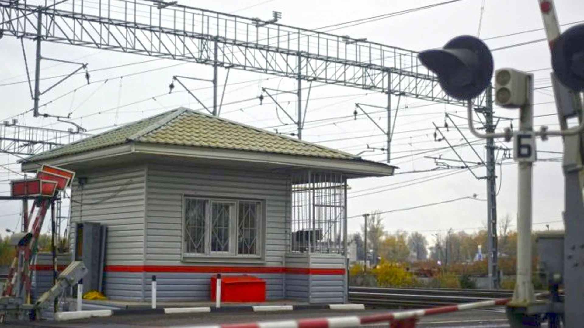 Фото: медиасток.рф