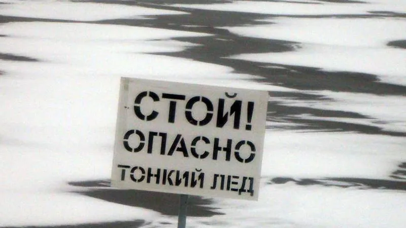 Пресс-служба Дмитрия Пестова