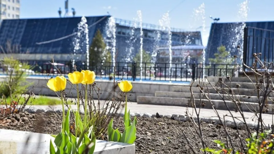 Фото: пресс-служба администрации г.о. Солнечногорск