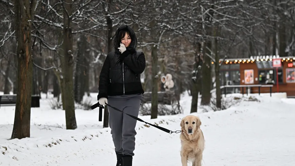 Фото: РИА Новости/Пелагия Тихонова