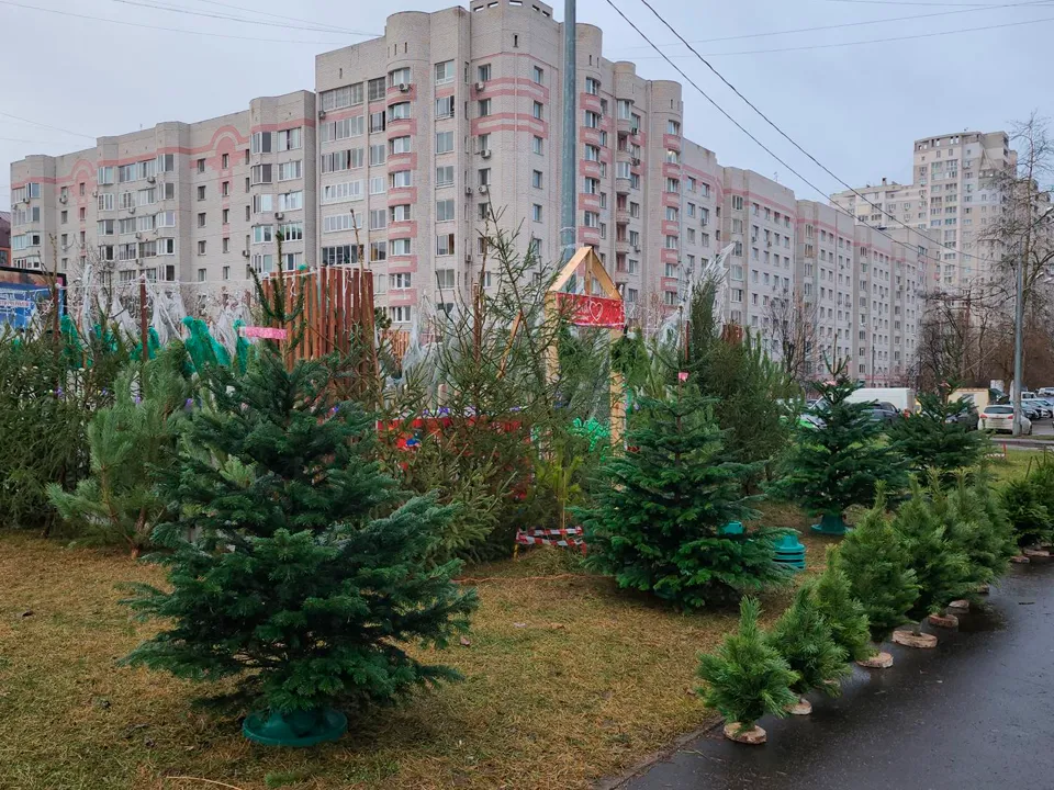 Фото: МедиаБанк Подмосковья/Роман Кутузов