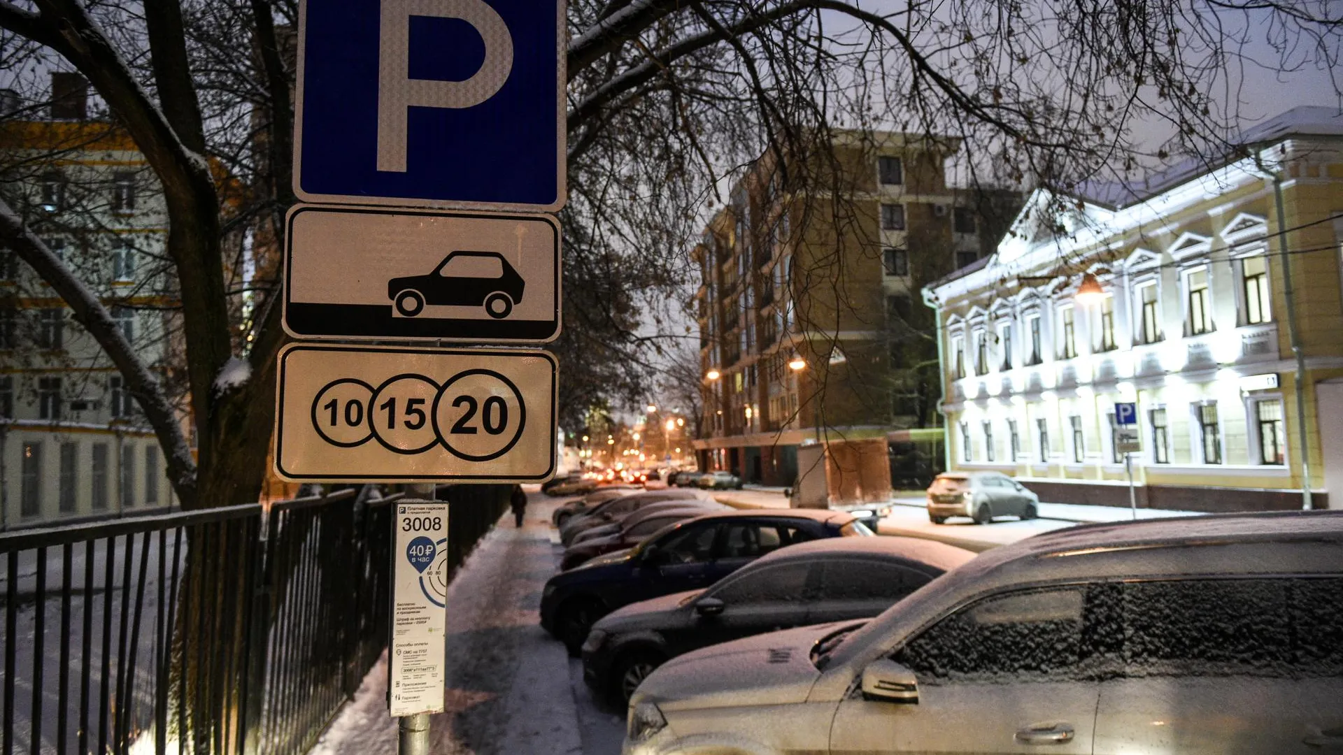 Эксперт Каблинова пояснила, почему на парковочный штраф давно должны сделать скидки