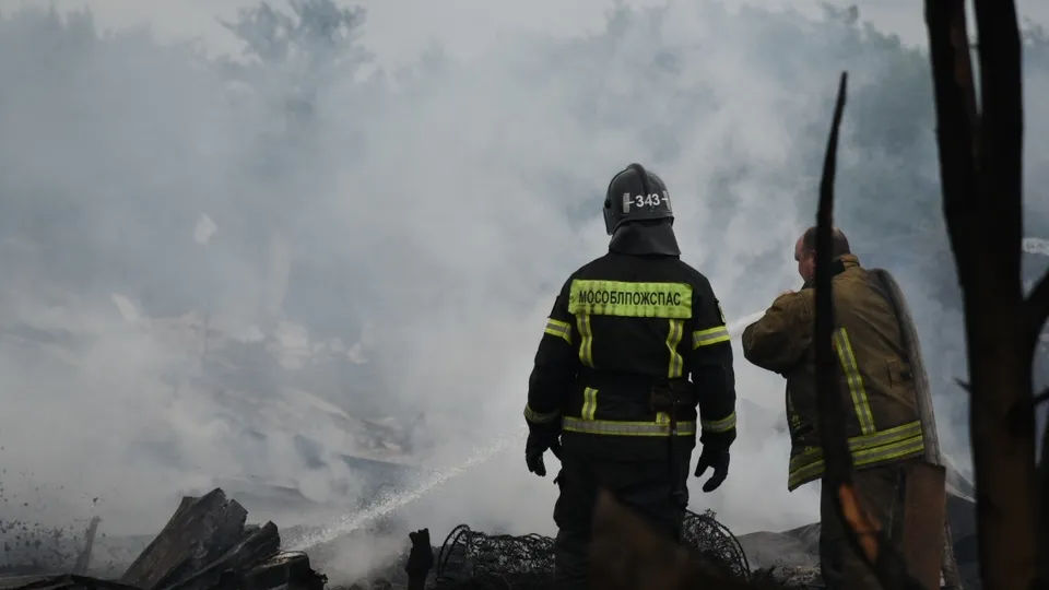 Фото: МедиаБанк Подмосковья
