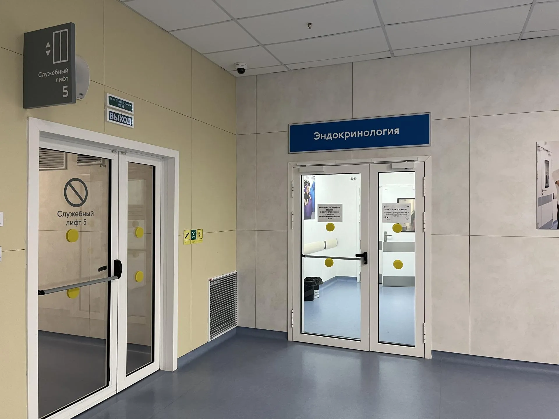 Фото: REGIONS/Кристина Ларина