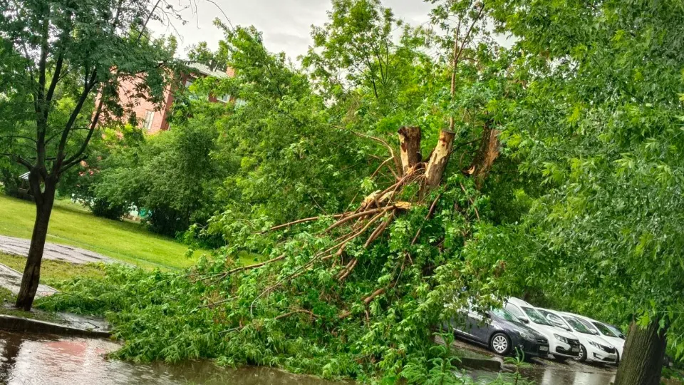 Фото: Александр Касаков
