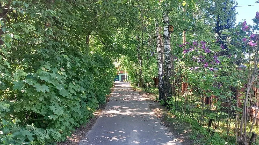 Фото: Олег Книжник