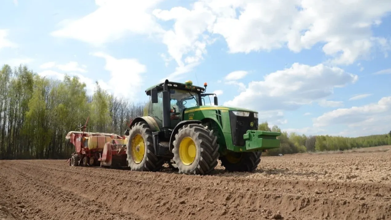 Фото: Нина Соколова