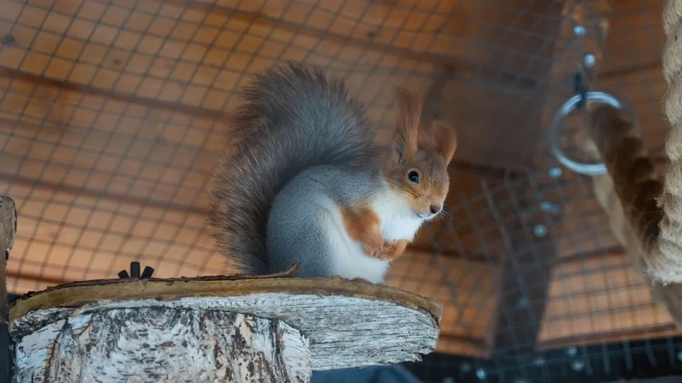 Фото: медиасток.рф