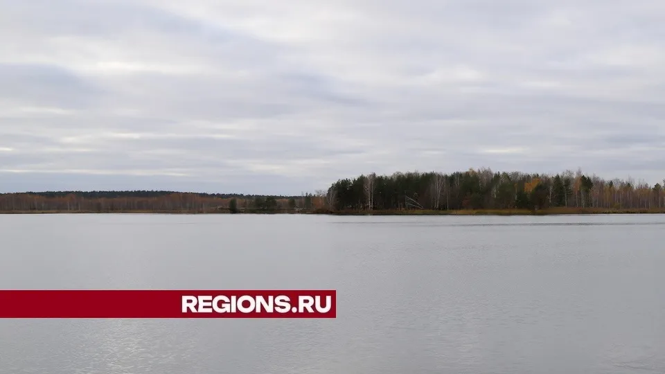 Фото: REGIONS/Александр Дрожжин