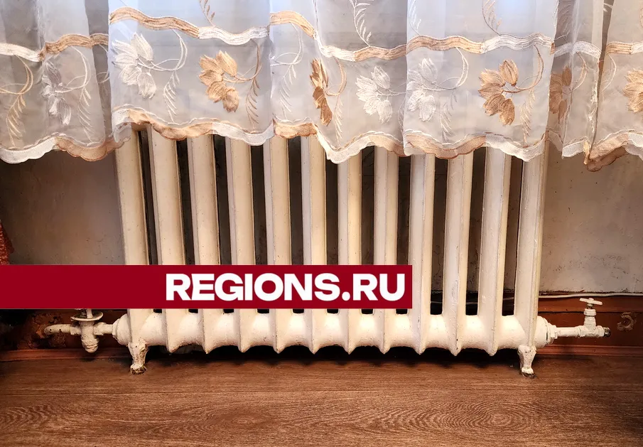 фото: Ольга Аввакумова