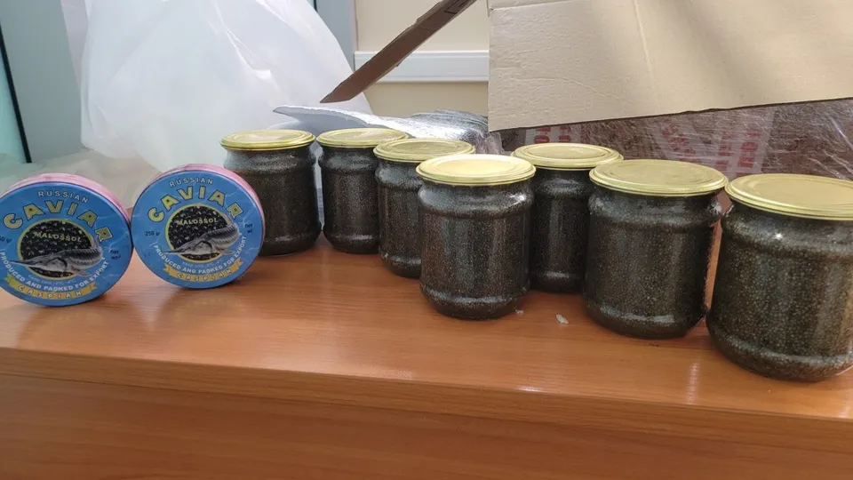 Фото: пресс-служба ФТС России