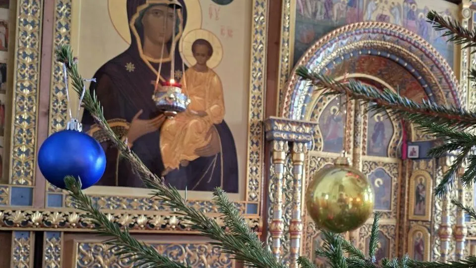 Фото: МедиаБанк Подмосковья/Яна Шаливская