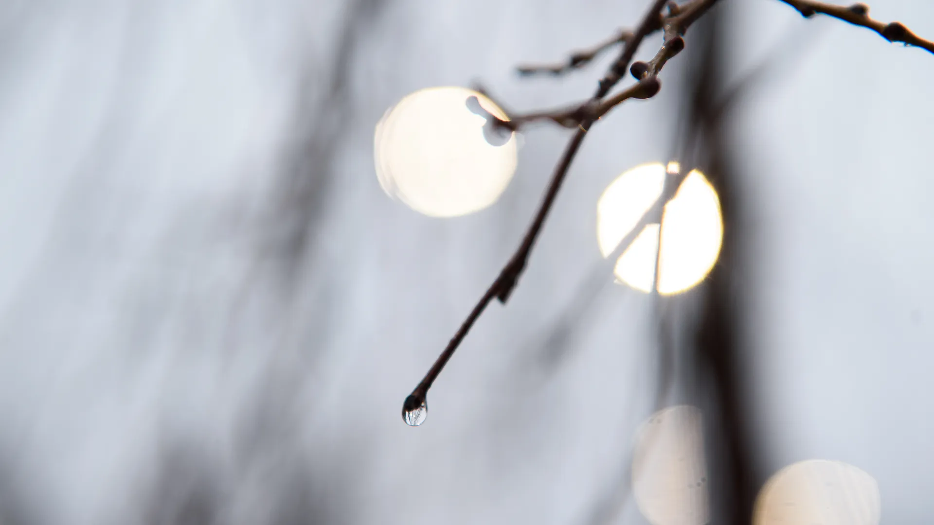 медиасток.рф