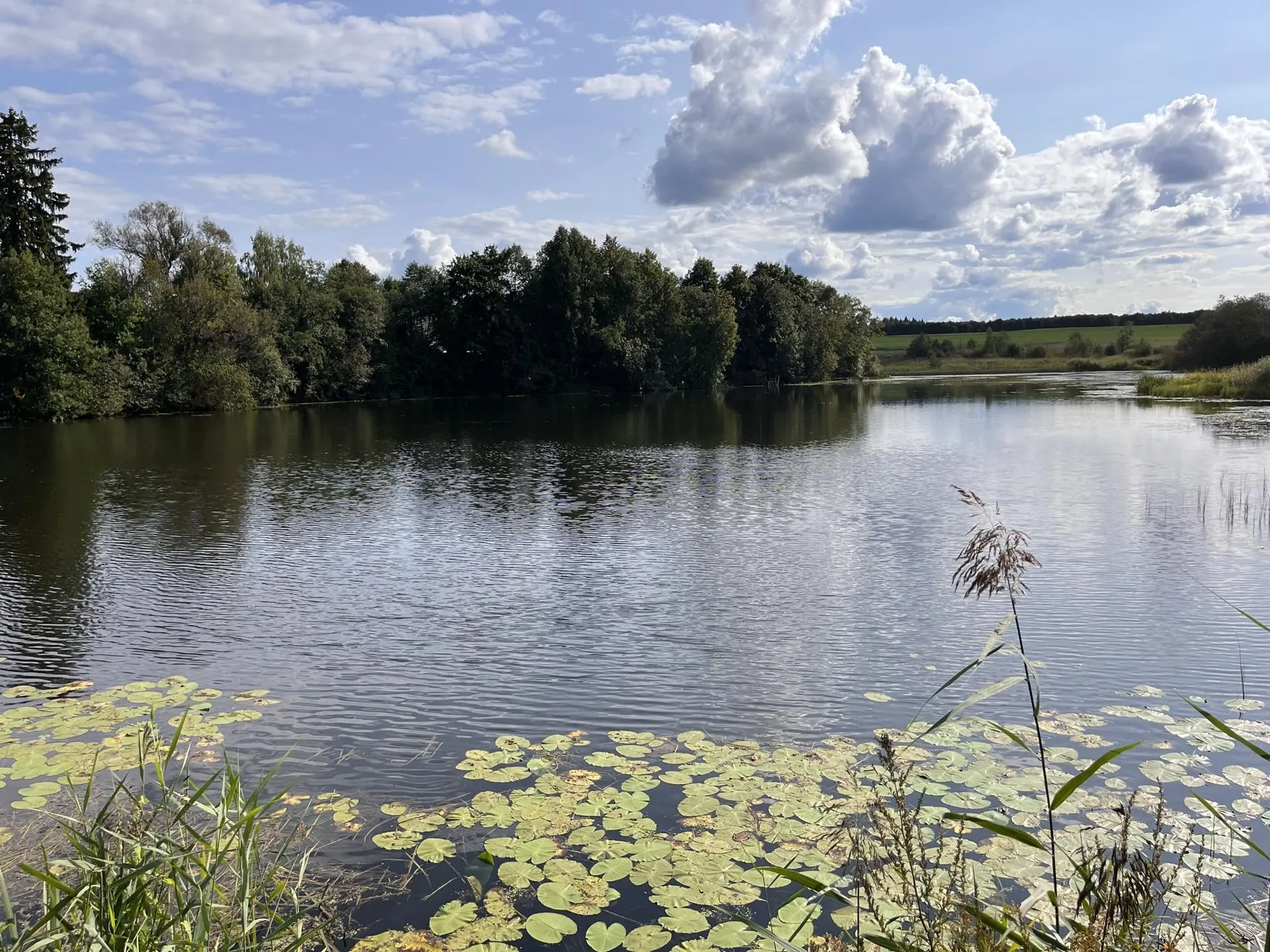 Фото: Татьяна Рунова