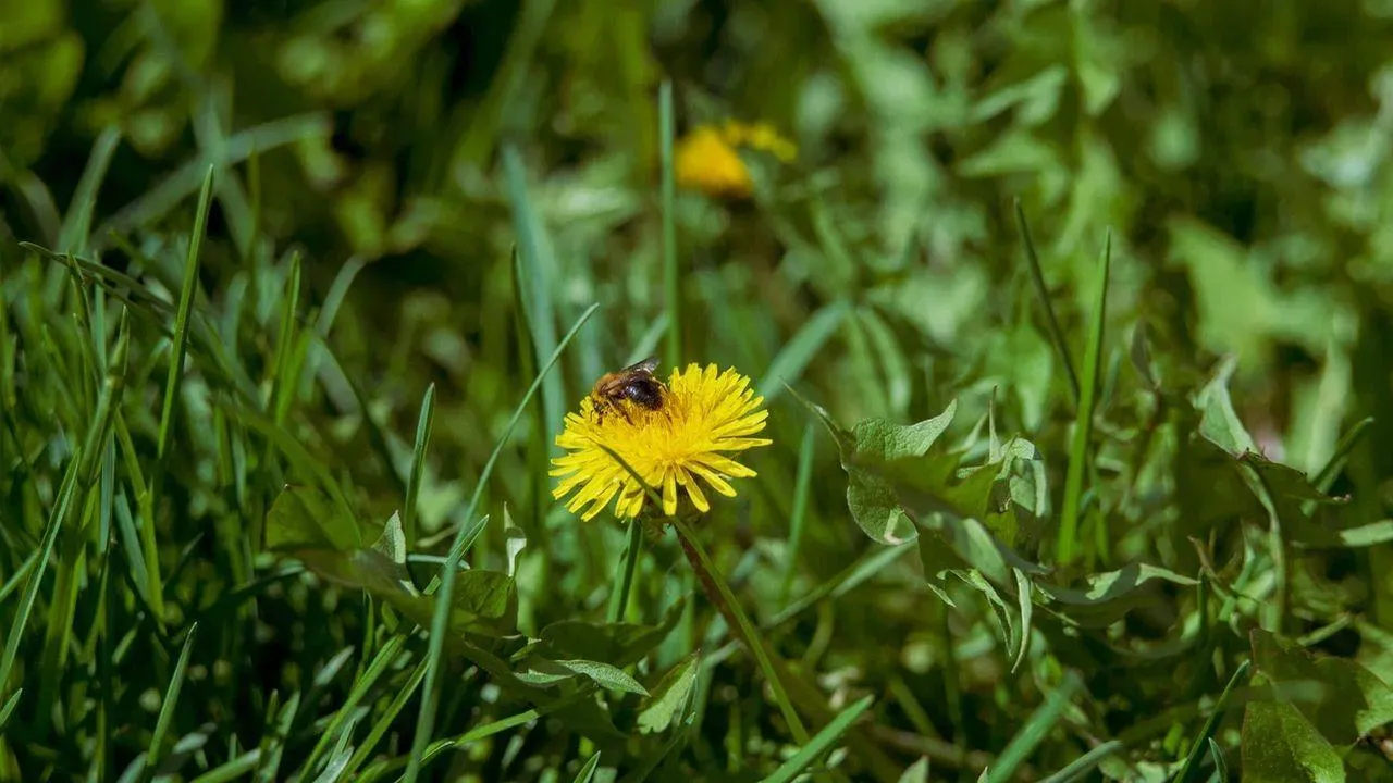 REGIONS/Наталия Надточая