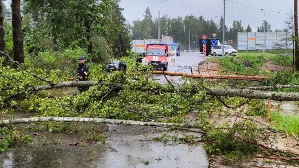 Фото: ГКУ МО «Мособлпожспас»