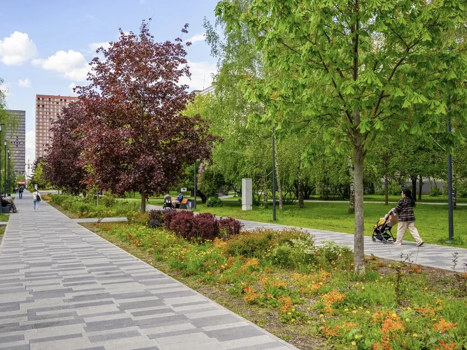 Фото: медиасток.рф