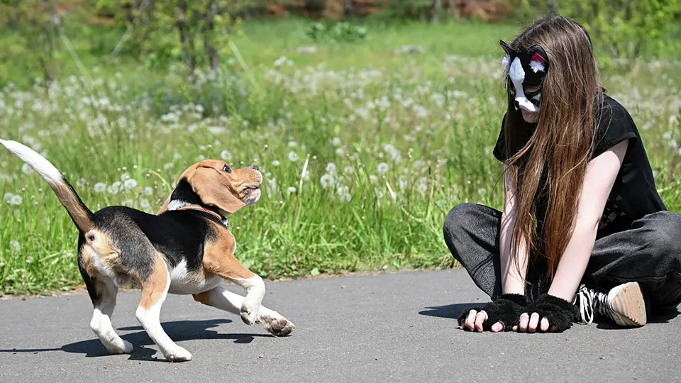 Фото: РИА Новости/Максим Богодвид