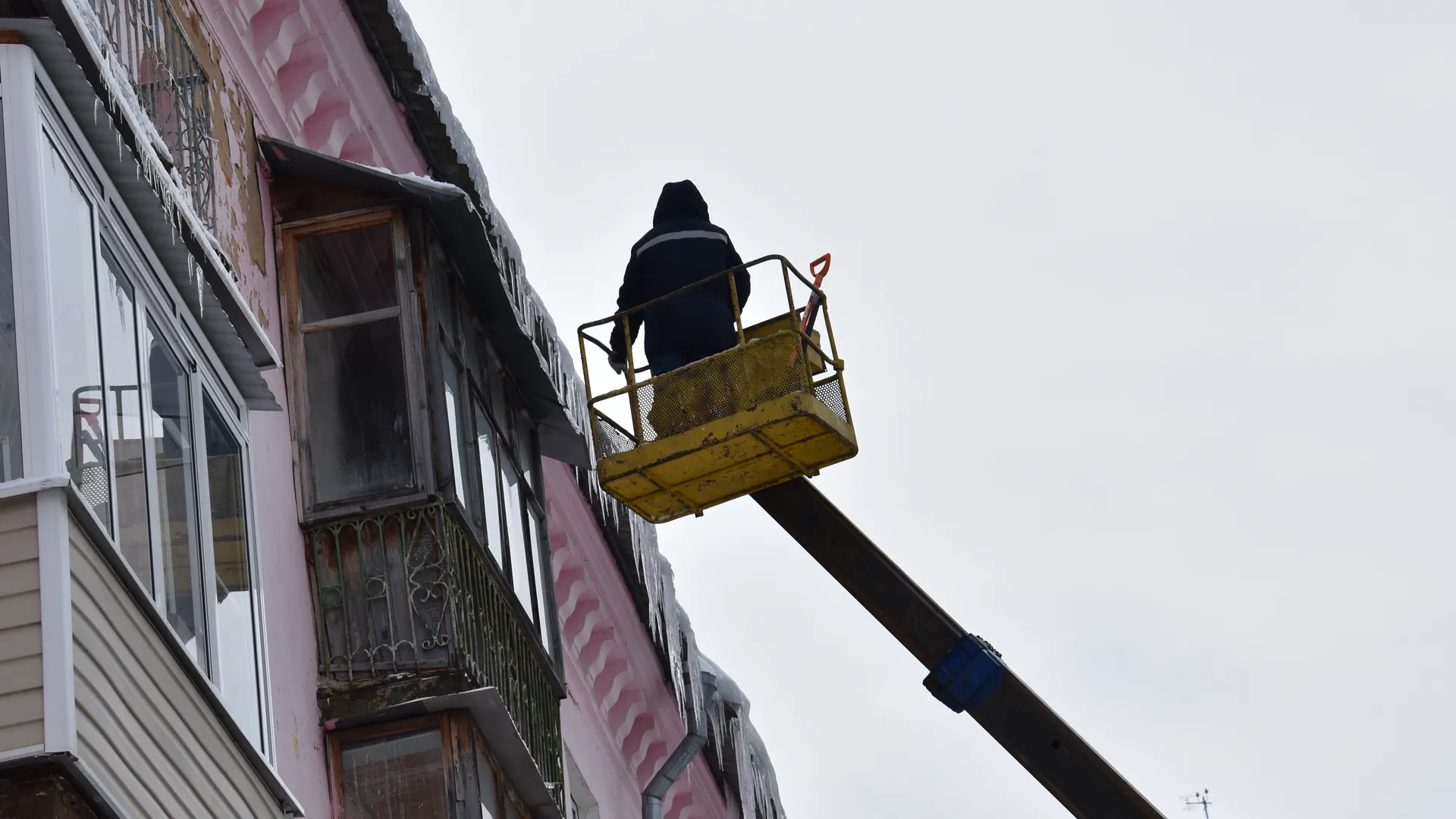 Фото: Елена Забелина