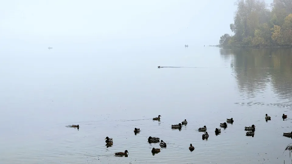 Фото: МедиаБанк Подмосковья/Евгения Герасимова