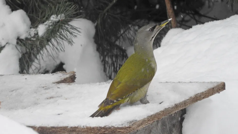 Фото: Ирина Столярова