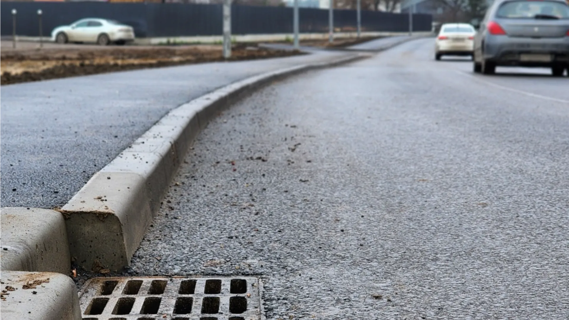 Фото: МедиаБанк Подмосковья/Валерия Тингаева