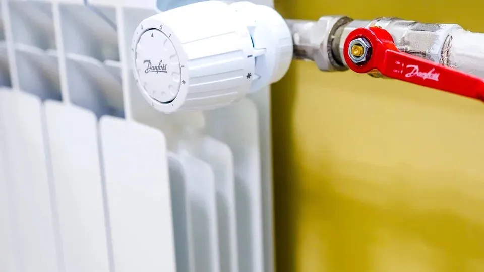 Фото: пресс-служба администрации г.о. Кашира