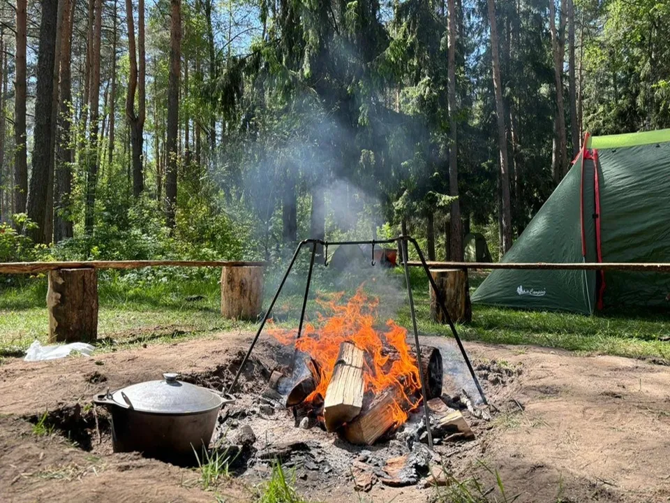 Фото: Комитет лесного хозяйства Московской области