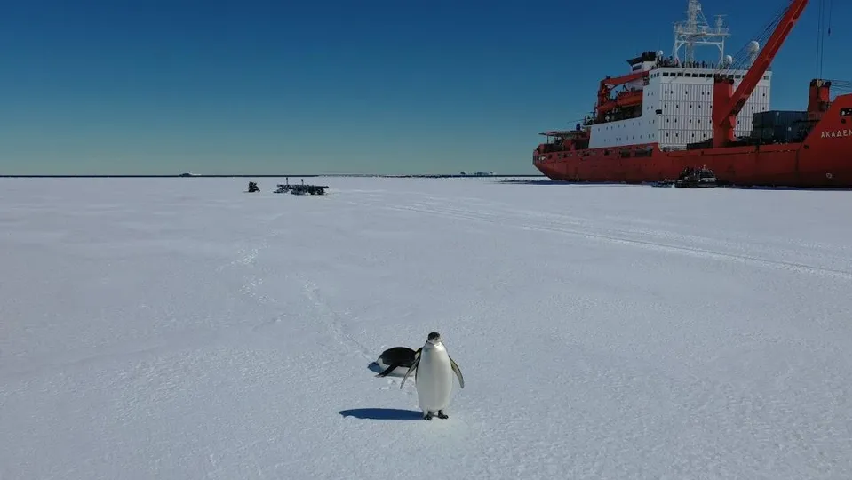 Фото: Николай Лаврухин