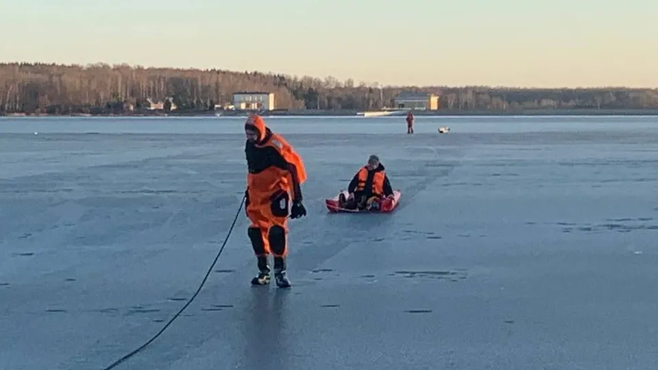 Фото: t.me/mosoblpspas