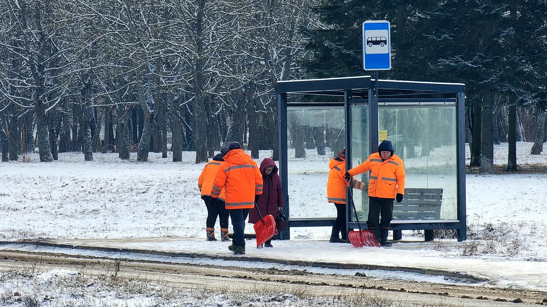 Фото: Мария Панина