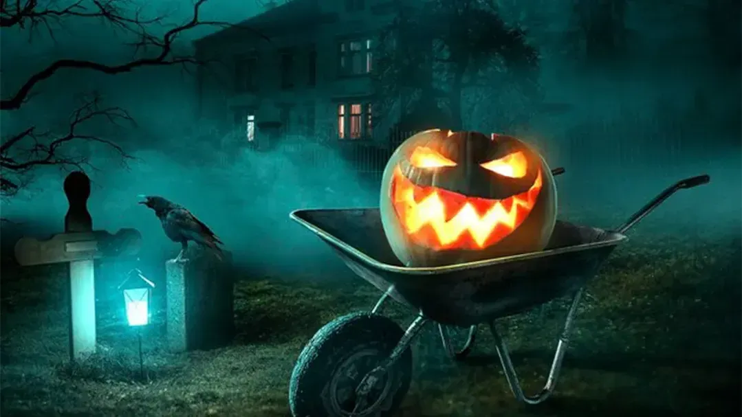 медиасток.рф