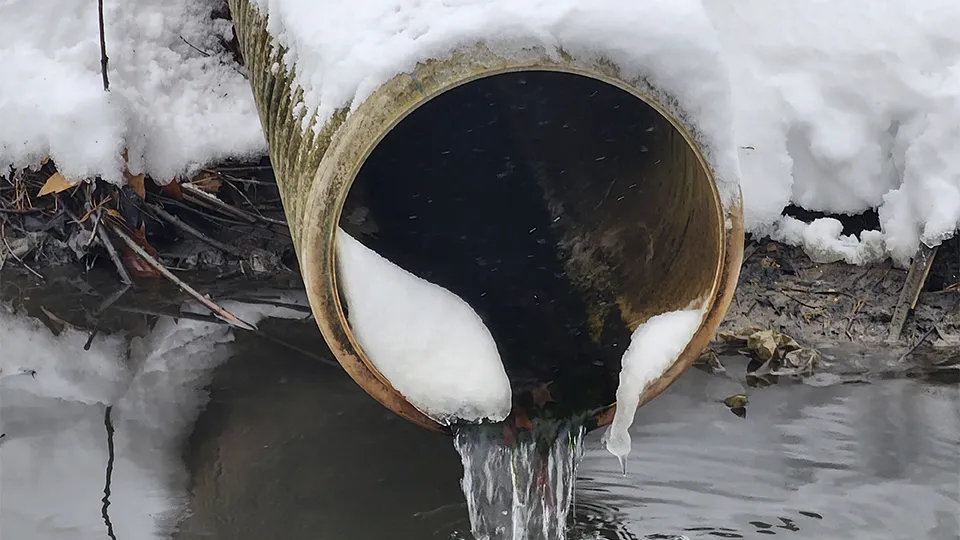 Фото: МедиаБанк Подмосковья/Никита Сморкалов