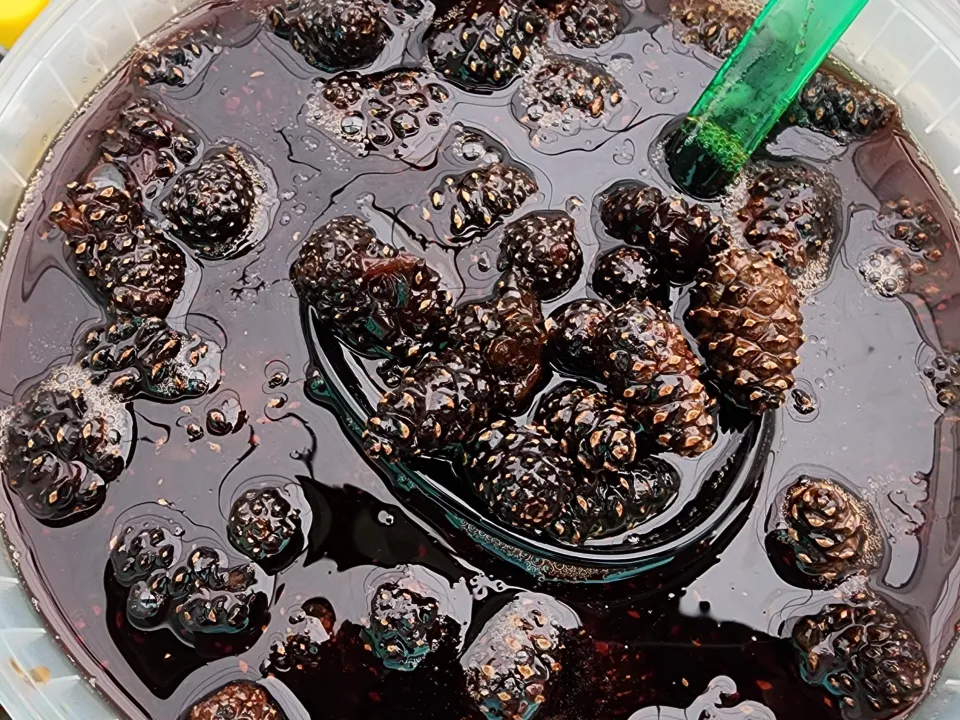 Фото: Хавива Фонина