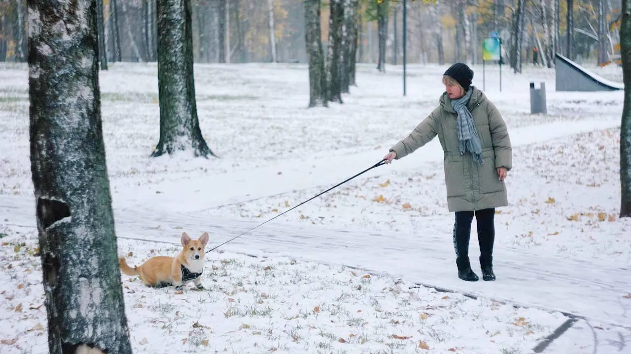 Фото: ТГ-канал "Парки города Реутов"